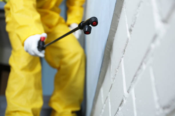 Pest Control for Warehouses in Jonesboro, IL